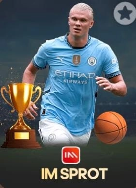 Y71 Game